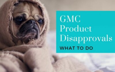 How to handle products in Google Merchant Center (GMC) that are disapproved